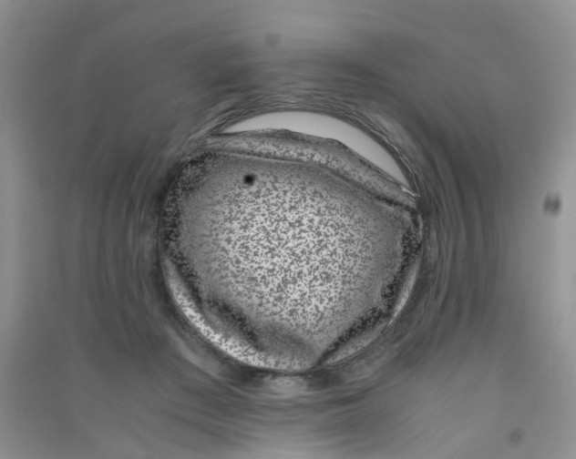 X0000090700409200708171850