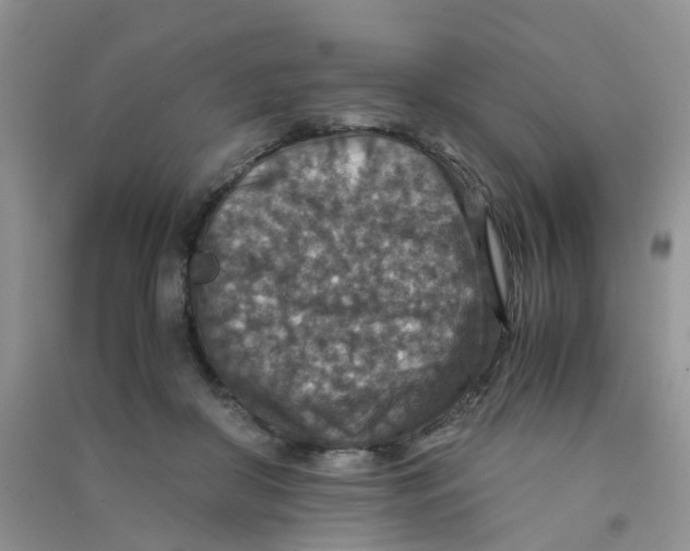 X0000090700410200708171850