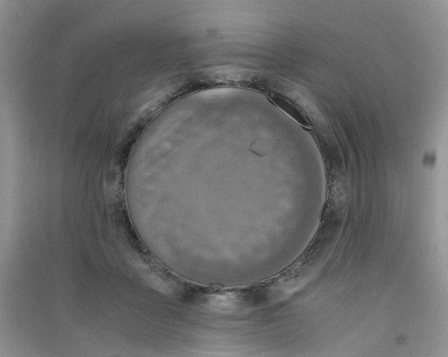 X0000090700411200708171850