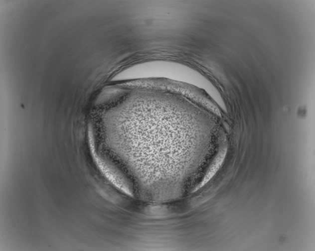 X0000090700413200708171850