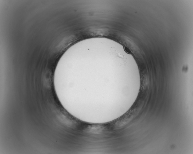 X0000090700414200708171850