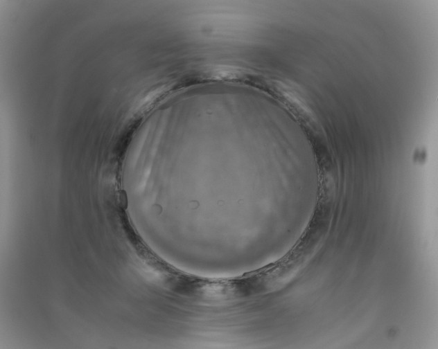 X0000090700415200708171850