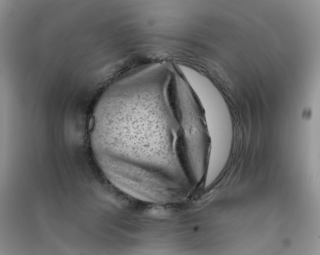 X0000090700416200708171850