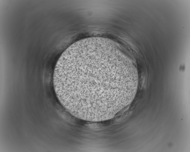 X0000090700417200708171850