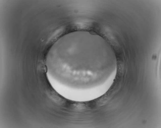 X0000090700419200708171850