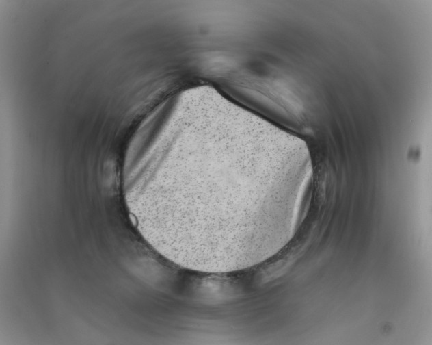 X0000090700420200708171850