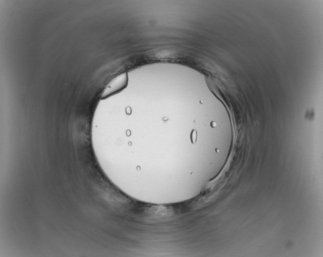 X0000090700421200708171850