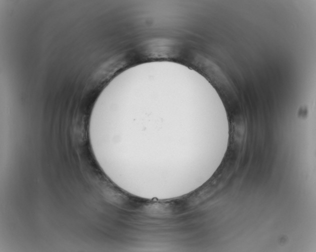 X0000090700422200708171850