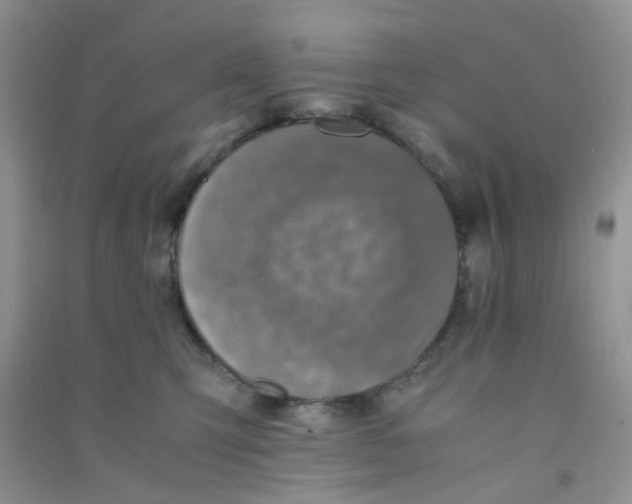 X0000090700423200708171850