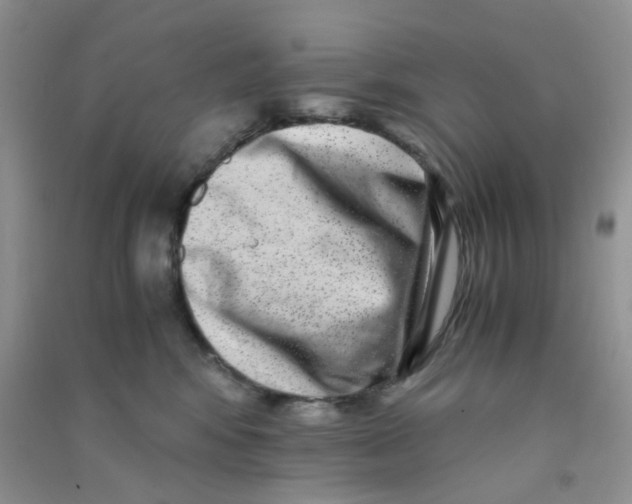 X0000090700424200708171850