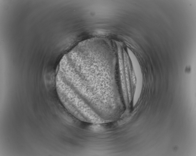 X0000090700425200708171850