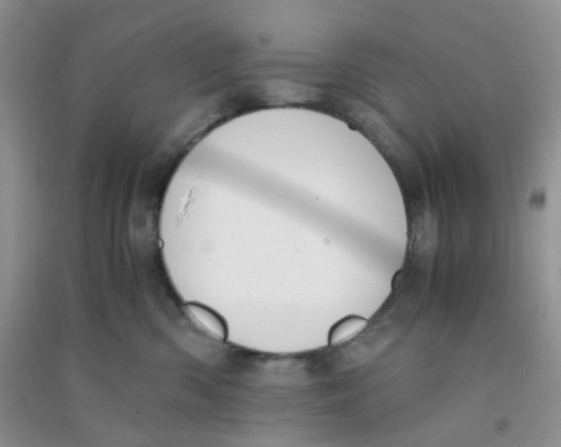 X0000090700426200708171850