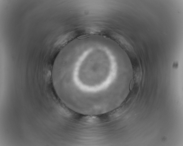 X0000090700427200708171850