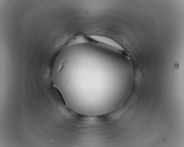 X0000090700428200708171850