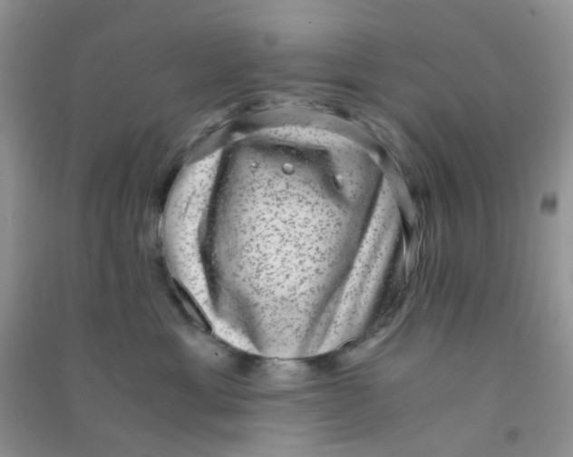 X0000090700429200708171850