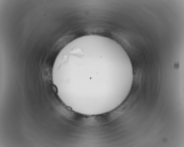 X0000090700430200708171850