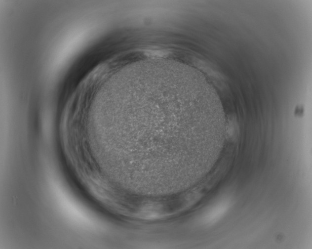 X0000090700431200708171850