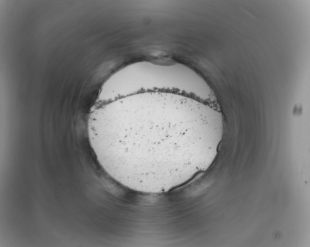 X0000090700432200708171850