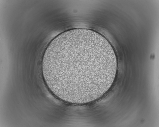 X0000090700433200708171849