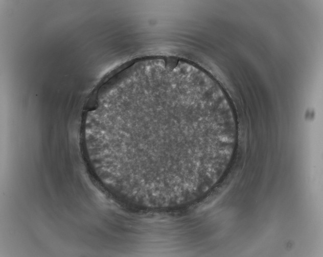 X0000090700434200708171849