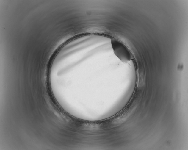 X0000090700435200708171849