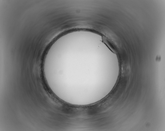 X0000090700436200708171849