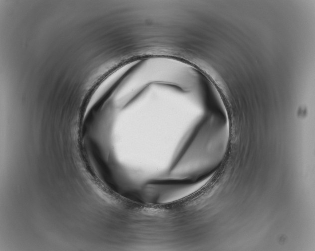 X0000090700437200708171849