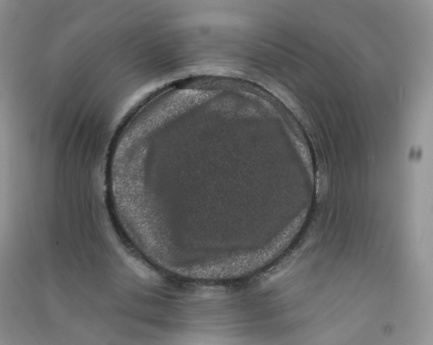 X0000090700438200708171849