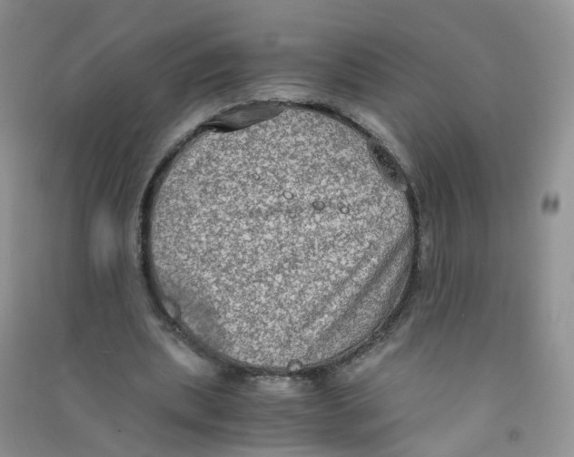 X0000090700439200708171849