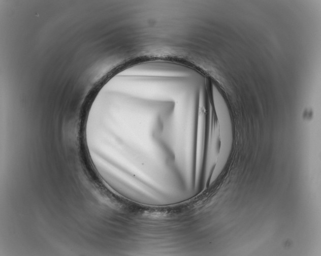 X0000090700440200708171849