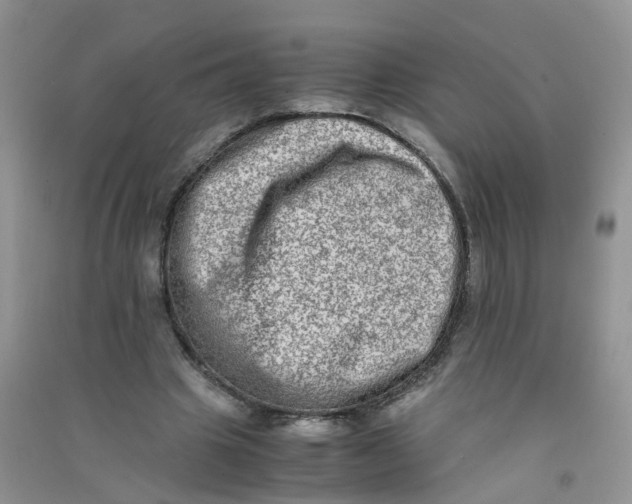 X0000090700441200708171849