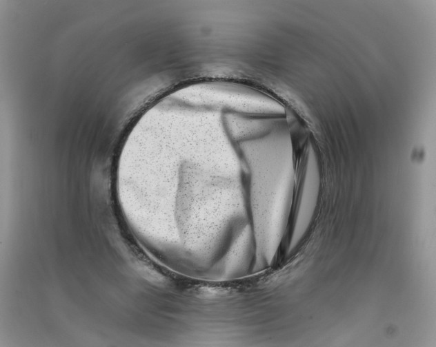 X0000090700442200708171849