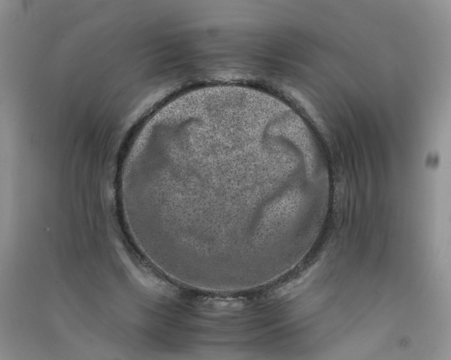 X0000090700443200708171849