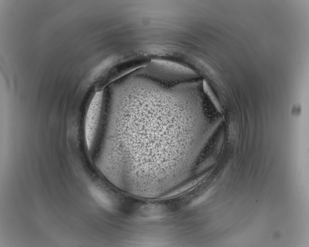 X0000090700444200708171849