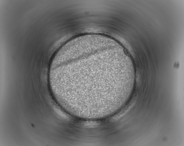 X0000090700445200708171849