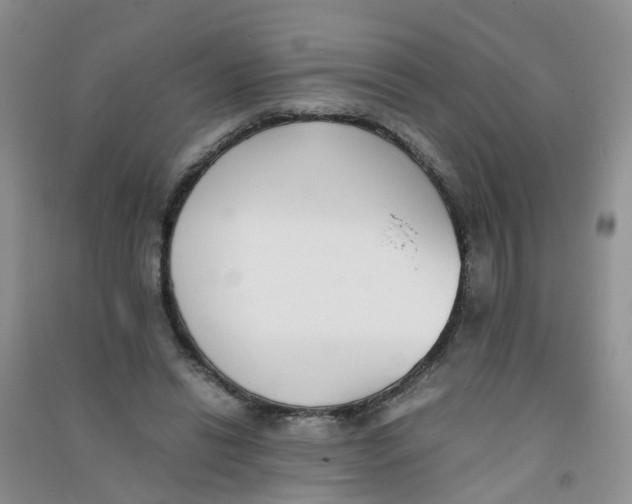 X0000090700446200708171850