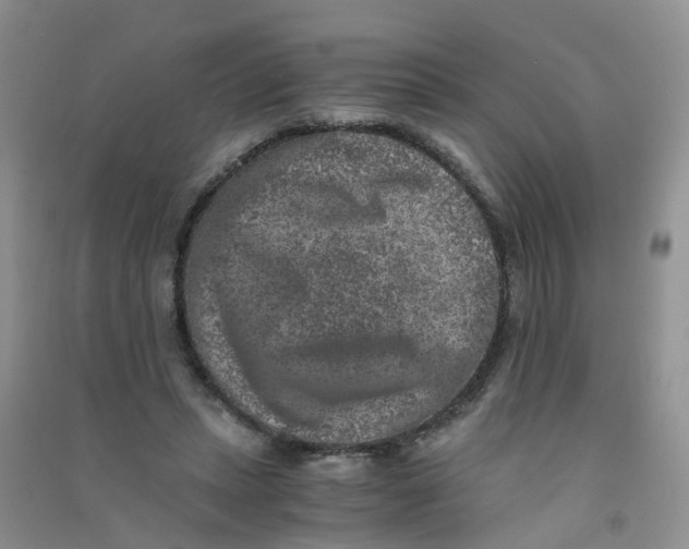 X0000090700447200708171850