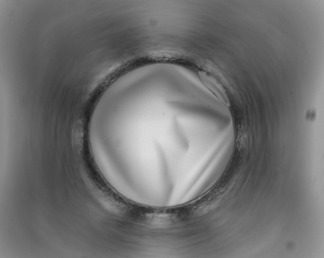 X0000090700448200708171850