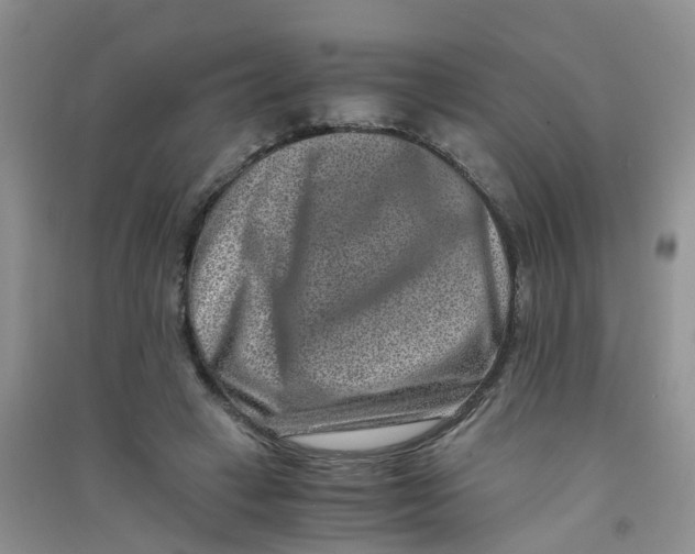 X0000090700449200708171850