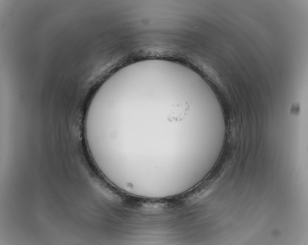 X0000090700450200708171850