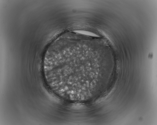 X0000090700451200708171850