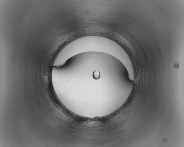 X0000090700452200708171850