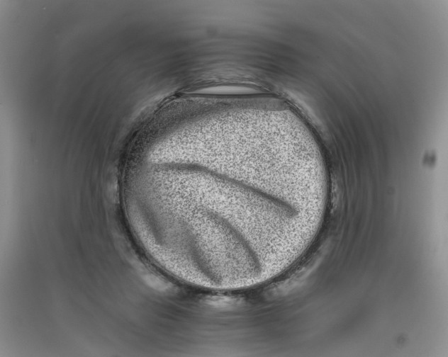 X0000090700453200708171850