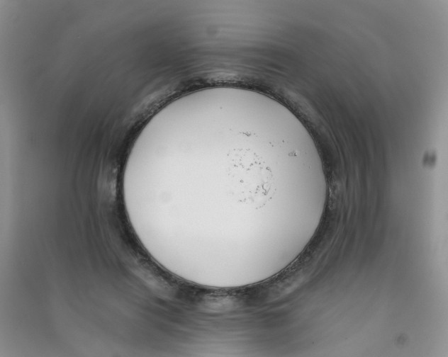 X0000090700454200708171850