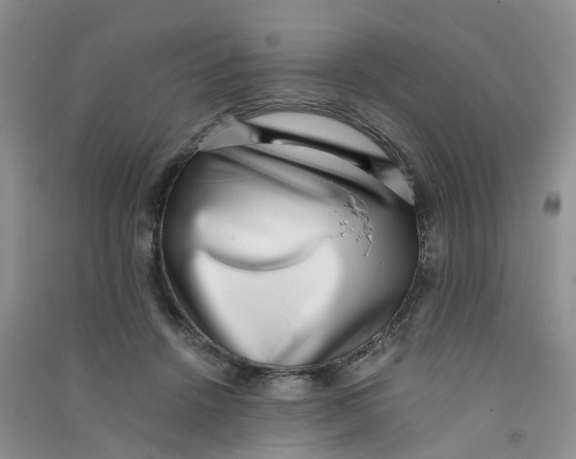 X0000090700456200708171850