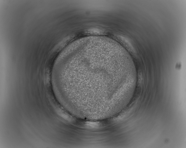 X0000090700457200708171850