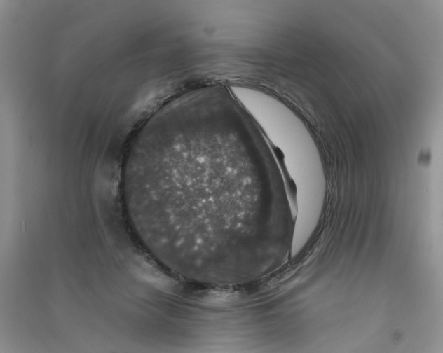 X0000090700458200708171850