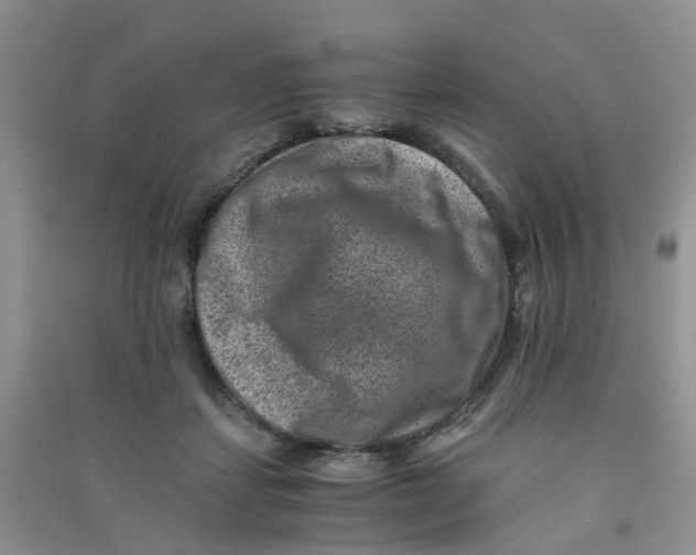 X0000090700459200708171850