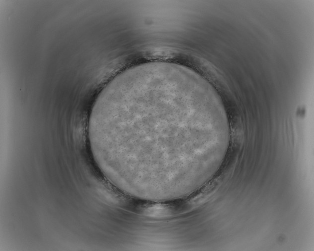 X0000090700460200708171850