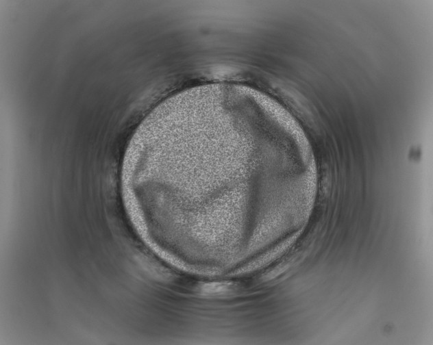 X0000090700461200708171850